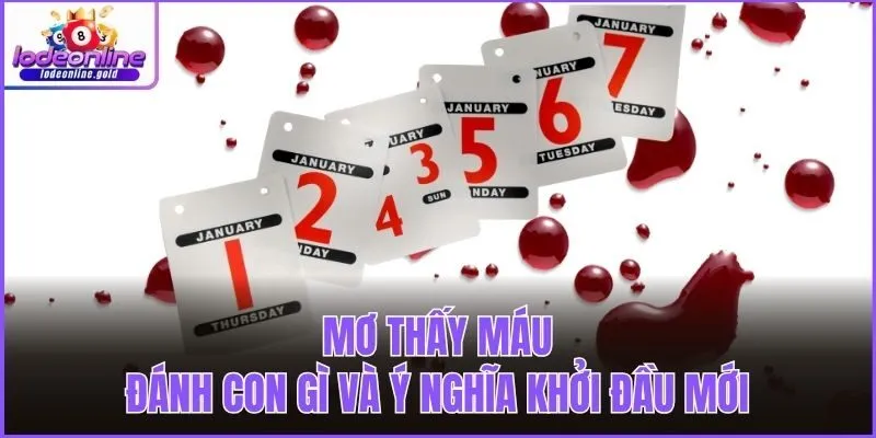 Mơ thấy máu đánh con gì và ý nghĩa khởi đầu mới